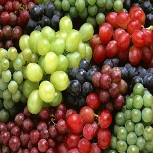 Organic Fresh Grapes, Taste : Sweet
