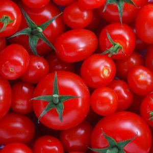 Organic Fresh Red Tomato, Grade : Food Grade for Cooking