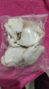 White Oyster Mushroom