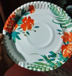 Disposable Paper Plates, Color : Silver Multisizes