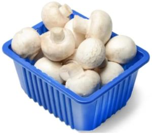 white Natural Fresh Button Mushrooms, Packaging Size : 500g, 1Kg