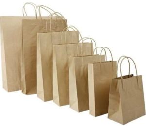Biodegradable Paper Bags