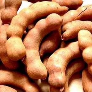 Tamarind Pods