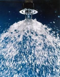 Fire Sprinkler System
