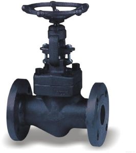 Forged Steel Valve