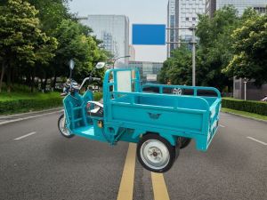 Plaudit E- Cargo- Rickshaw