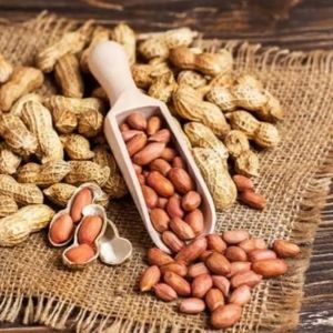 Groundnut – Peanut for Snacking, Cooking