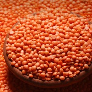 Masoor Dal for Soups, Stews, Khichdi
