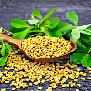 Natural Methi Seeds for Tempering, Pickling, Curry Powders