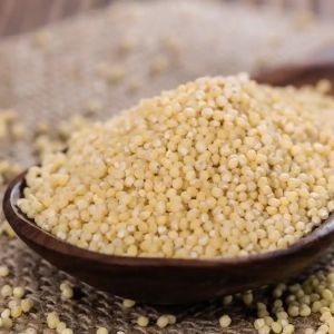 Millet, Packaging Type : Packet for Cooking, Baking