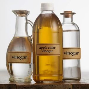 Vinegar