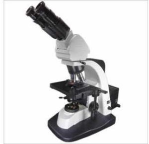 Binocular Research Microscopes