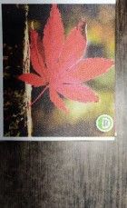 Polyester PVC Free Coated Fabric 140gsm, Color : White Glossy & Matt