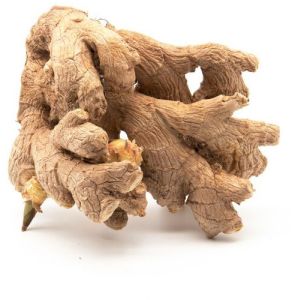 Dried Ginger for Cooking