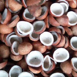 Dry Coconut Half Cut, Color : Brown