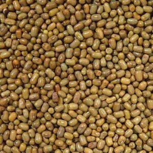 Moth Dal For Cooking