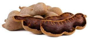 Tamarind, Color : Brown