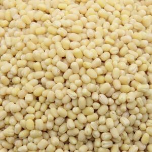 White Urad Gota Dal, Packaging Size : 500g, 1Kg, 5Kg for Cooking