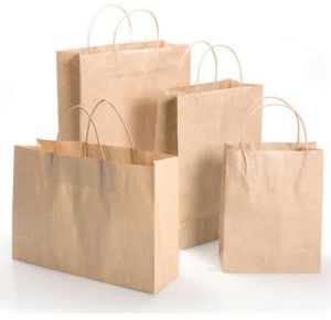 Shopping Paper Bag