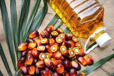 Palm Oil, Packaging Type : Plastic Bottels