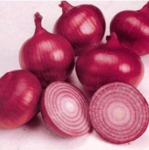 Red Onions, Packaging Size : 25Kg Gunny Bag, Loose, Net Bag