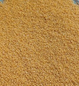 Organic Foxtail Millet, Packaging Size : 25-50kg 10%