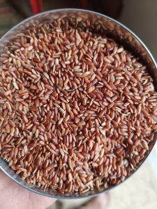 Natural Long Grain Indian Red Rice, Packaging Size : 25-50kg 10%