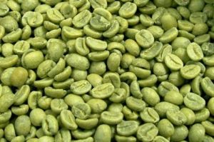 robusta green coffee beans