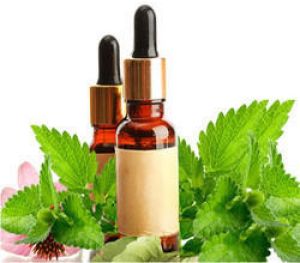 Melissa Leaf Essential Oil
