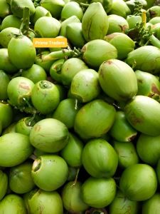 Assam Local Coconut