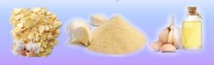 Dehydrated Garlic Powder