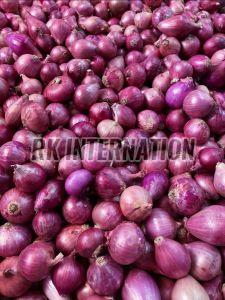 Fresh Red Onion, Packaging Size : 25-50kg Mesh Bags