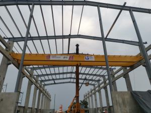Double Girder EOT Cranes