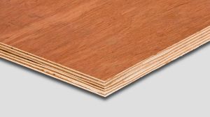 Wooden Plywood