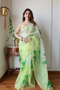 Hand Painted Organza Silk Saree