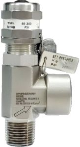 SS304L High Pressure Safety Valve, Brand Name : FITZER