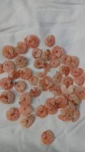 Dried Shrimp Dried Shrimp