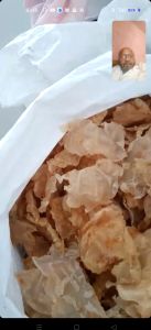 Dried Fish Maw, Color : Creamy, Freezing Process : Cold Storage