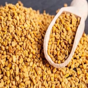 Dried Fenugreek Seeds