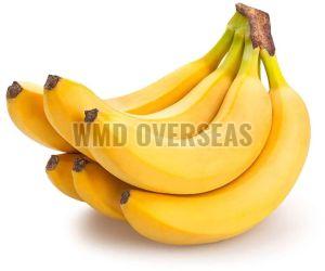 Fresh Banana, Color : Yellow, Taste : Sweet