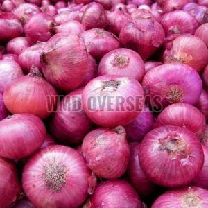 Fresh Pink Onion, Cultivation Type : Organic for Cooking