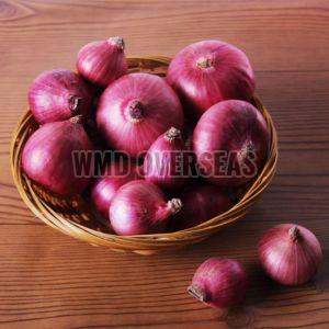 Fresh Red Onion, Cultivation Type : Organic for Cooking