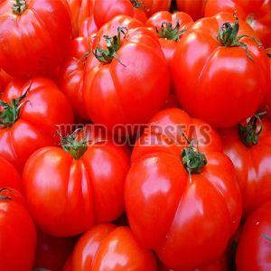 Fresh Red Tomato, Shape : Round