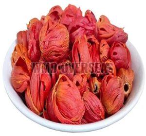 Whole Mace, Color : Orange-Red To Golden Brown