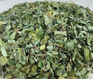 Dried Moringa Leaves, Color : Green, Packaging Size : 25-50kg