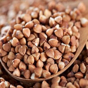 Buckwheat Millet Seeds, Packaging Type : Bag for Cooking, Baking