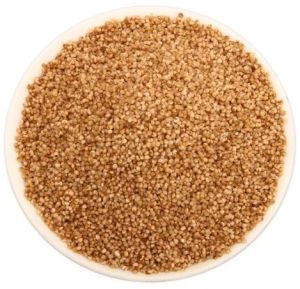 Kodo Millet Seeds