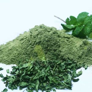 Dry Mint Powder, Color : Green, Packaging Type : Plastic Bag
