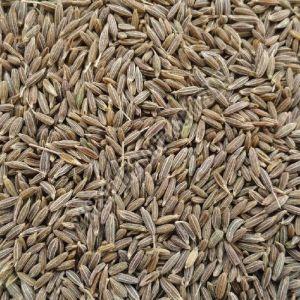 Brown Natural Cumin Seeds Food Grade