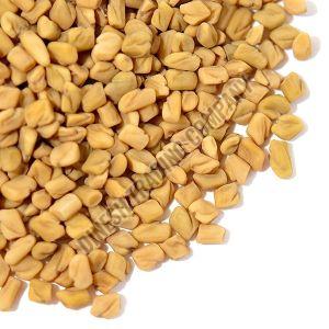 Yellow Natural Fenugreek Seeds Food Grade